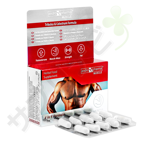 ファーミア・マッスル30錠 | AndroPharma Muscle 30tablets one